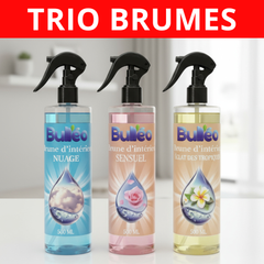 Pack 3 Brumes d'Intérieur 500 ml
