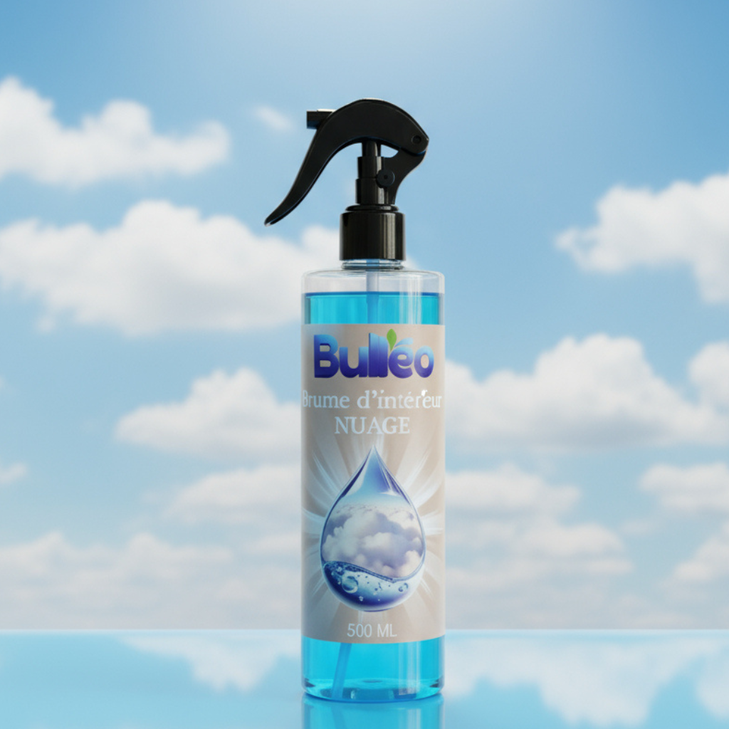 Brume d'Intérieur Nuage 500 ml