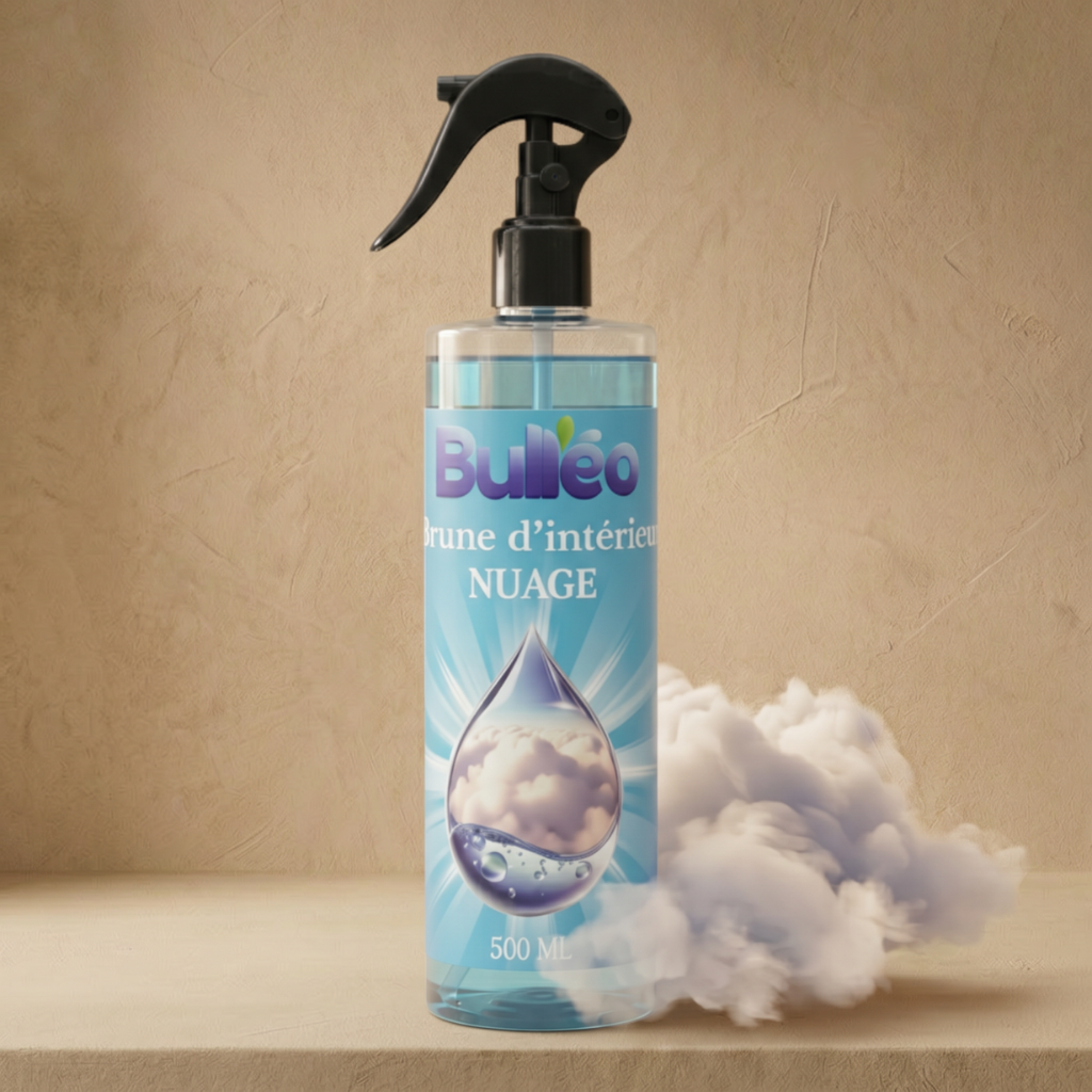 Brume d'Intérieur Nuage 500 ml
